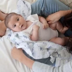 Rising Star Classic 2pk Swaddles By Aden And Anais -Bedding Store aswc40006 aswc20006 aswc10013 3 classic swaddle 4pk rising star 400x400